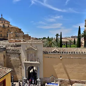  Appartement El Balcon De La Mezquita Espagne